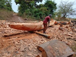 Fabrication d'une pirogue