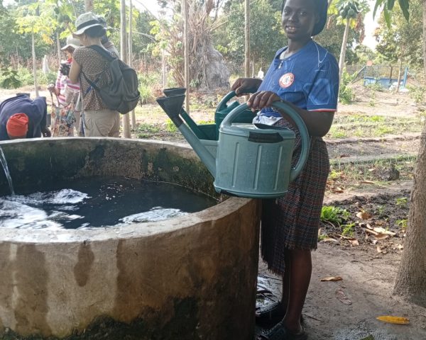 Barancole : le bassin, alimenté par le château d'eau, cet allié indispensable !