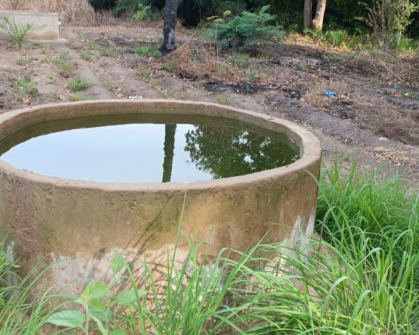 Afoulo : les bassins, alimentés grâce aux pompes et aux panneaux photovoltaïques.