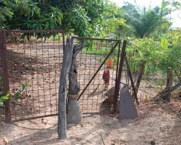 Jardin d'Afoulo : clôture et portail sont en train d'être refaits.