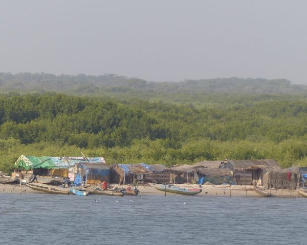 Village de pêcheurs sur les rives du fleuve Casamance.